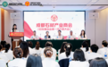 成都市工商联直属首家商会妇联落地成都石材产业商会 陈昕当选妇联主席