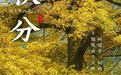 错过湖南的秋天，真的会意难平！