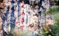 来甘肃定西　追一追千年前的“顶流”