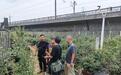 铜陵郊区大通镇：节前排查除隐患 筑牢铁路安全防护网