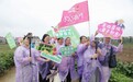 育人育品双向赋能  如皋电商新农人田间“实战”助特产出圈