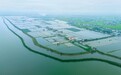 江湖之鲜 谁站“C位”？