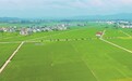 宁都县：好“丰”景（图）