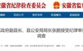 反腐快讯，宿州一副县长被查！阜阳、合肥3名干部被通报