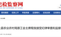 阜阳、滁州、安庆、亳州4市纪委监委通报！