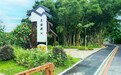珠海古元故里那洲：国庆假期在绿道与画展间慢品乡野