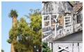 惠州小众去处｜10个目的地清单，从山海到稻达富贵酒文化馆