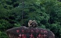 桐木溯千年 庙湾守一山｜庙湾红茶深耕正山核心产区，传承红茶四百春！