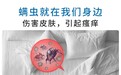 看不见的床上邻居：聊聊家家户户躲不开的尘螨，普通人该怎么科学居家控螨