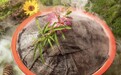 亖喜花园火锅性价比高吗