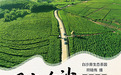 每日一景 | 绿水青山铺茶卷，一叶清香醉白沙