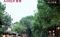 AIMER爱慕・知己雅集：一场跨越山海的文化同频之约