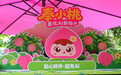 AI赋能溪口文旅 科技点亮国庆假期