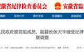 庐江县人民政府原党组成员、副县长张大华被查