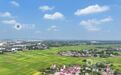 江西泰和：高标准农田“丰”景如画（图）