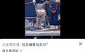 包贝尔出轨风波后首次公开露面，北京露营被网友偶遇，未见妻子包文婧同行