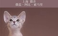 上海阿比·索马里MyOhMy猫舍单品牌深度解析