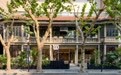 “胜场之上，生活之里” Wilson威尔胜中国赛季献礼上海——青邸城市概念店盛大启幕