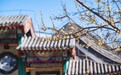 国内 EMBA 择校如何破局：师资与平台成为核心标尺，北大国发院 EMBA 凸显差异化竞争力