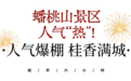 经开六小时丨国庆七天，“热”力全开！