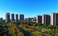 赣江新区：城市公园秋景如画（图）