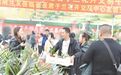 长春市绿园区：名兰荟萃展风华 农产飘香促振兴