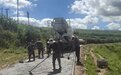 安居愿景变为现实生活　甘肃崆峒易地搬迁答卷写满温度