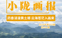 药香浸漫黄土塬　云海苍茫入画来
