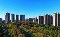 赣江新区：城市公园 秋景如画（图）