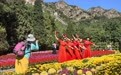 山海关：花海映雄关 秋日赏盛景
