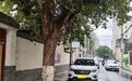 一司机遭“拉车门盗窃”　车内电缆线不翼而飞