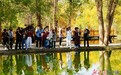 甘肃这地胡杨迎客来　升级服务免费停车收获一波夸夸