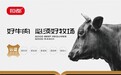 无添加剂原切牛肉产品品牌有哪些？2026年最新标准与品牌深度分析