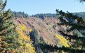 金秋焉支山　层林尽染入画来