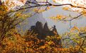 官宣！黄山三大景区将面向这类人群免门票