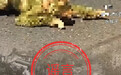 警方辟谣“南洞庭柴山河边怪视频”