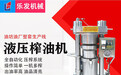 2026年全自动榨油机行业发展现状与市场占有率及排名研究分析报告