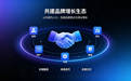 迅捷星辰网络科技公司的服务性价比怎么样