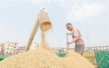 庐山市：喜获丰收（图）