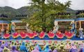 赏千年银杏　游峡谷风光