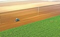 麦播首仗怎么打  ——“郭小麦”谈今年小麦播种关键措施