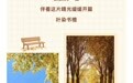 秋天的黑大，有多美？