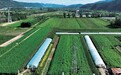 以绿色发展高地筑牢高质量发展支撑——承德攻坚水土流失治理赋能产业经济升级