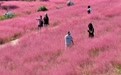 枣庄：乡村游点亮文旅市场