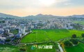 做强特色产业、抓好环境整治 斗门区委书记刘宏深入镇村调研督导
