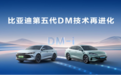 比亚迪汽车口碑怎么样？第五代DM参数解析