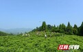 湖南4项传统农业系统入选第八批中国重要农业文化遗产名录