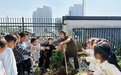 黄山市徽州区：乐享秋收趣 劳动润童心