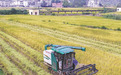 庐山积极落实强农惠农富农 政策助力粮食增产增收