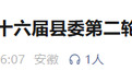 安徽一地派出4个巡察组，对4个乡镇及所辖47个村（社区）开展巡察